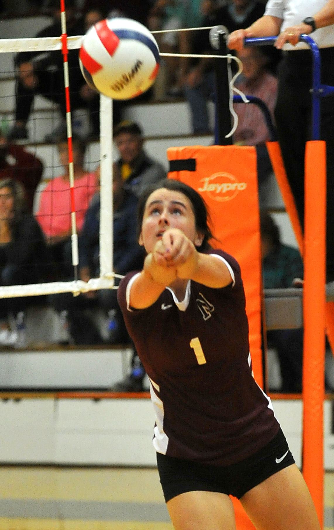 Moline vs United Township volleyball